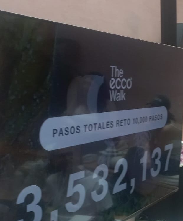 The ECCO Walk live community step counter showing the final total