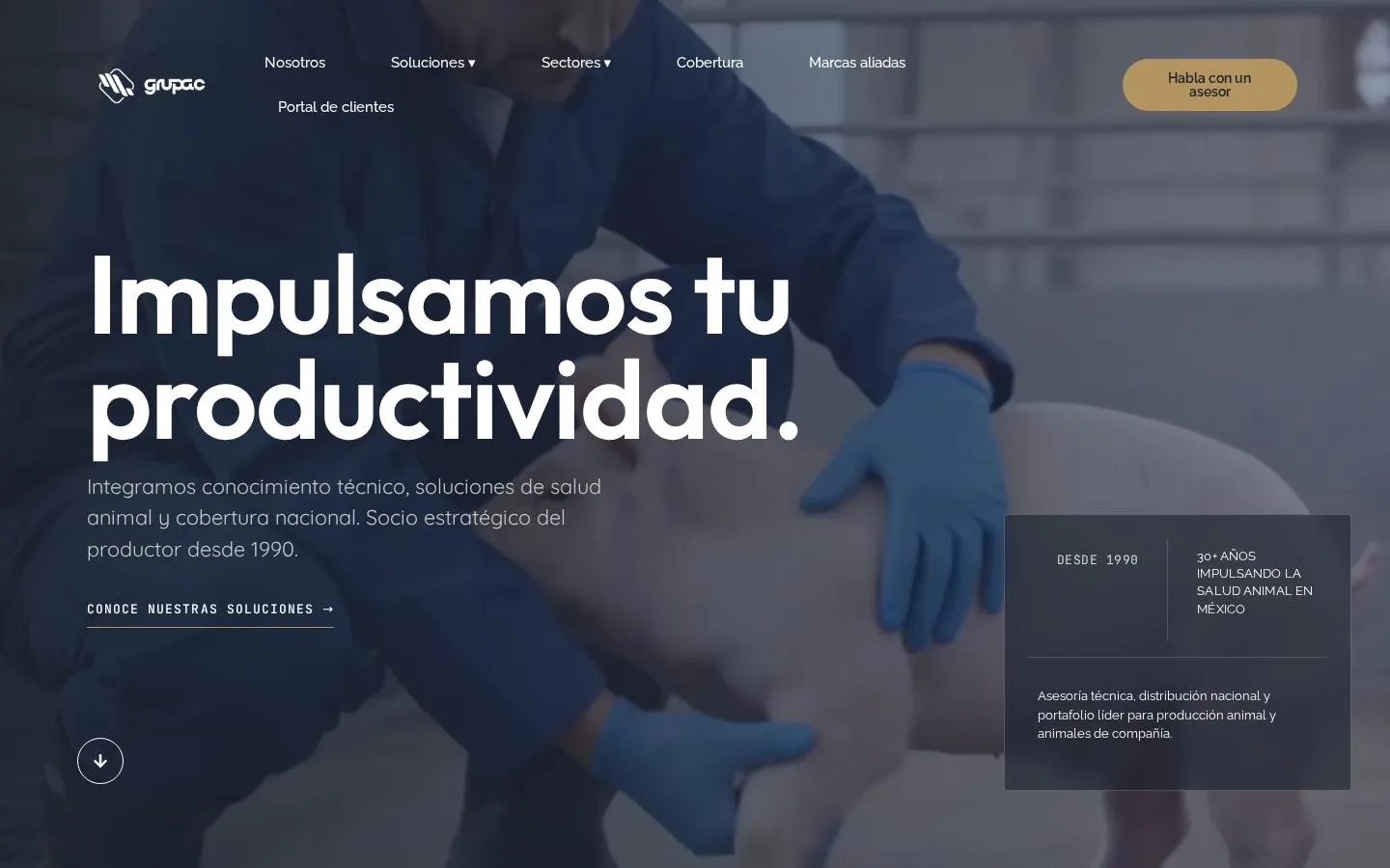 Grupac homepage hero with its value proposition