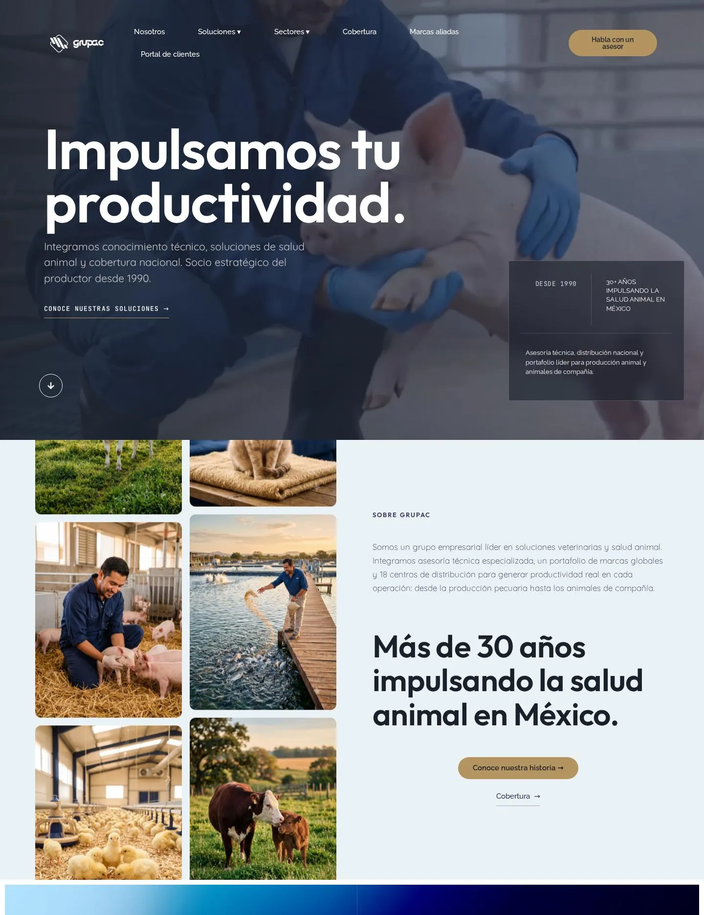 Grupac homepage: driving your productivity