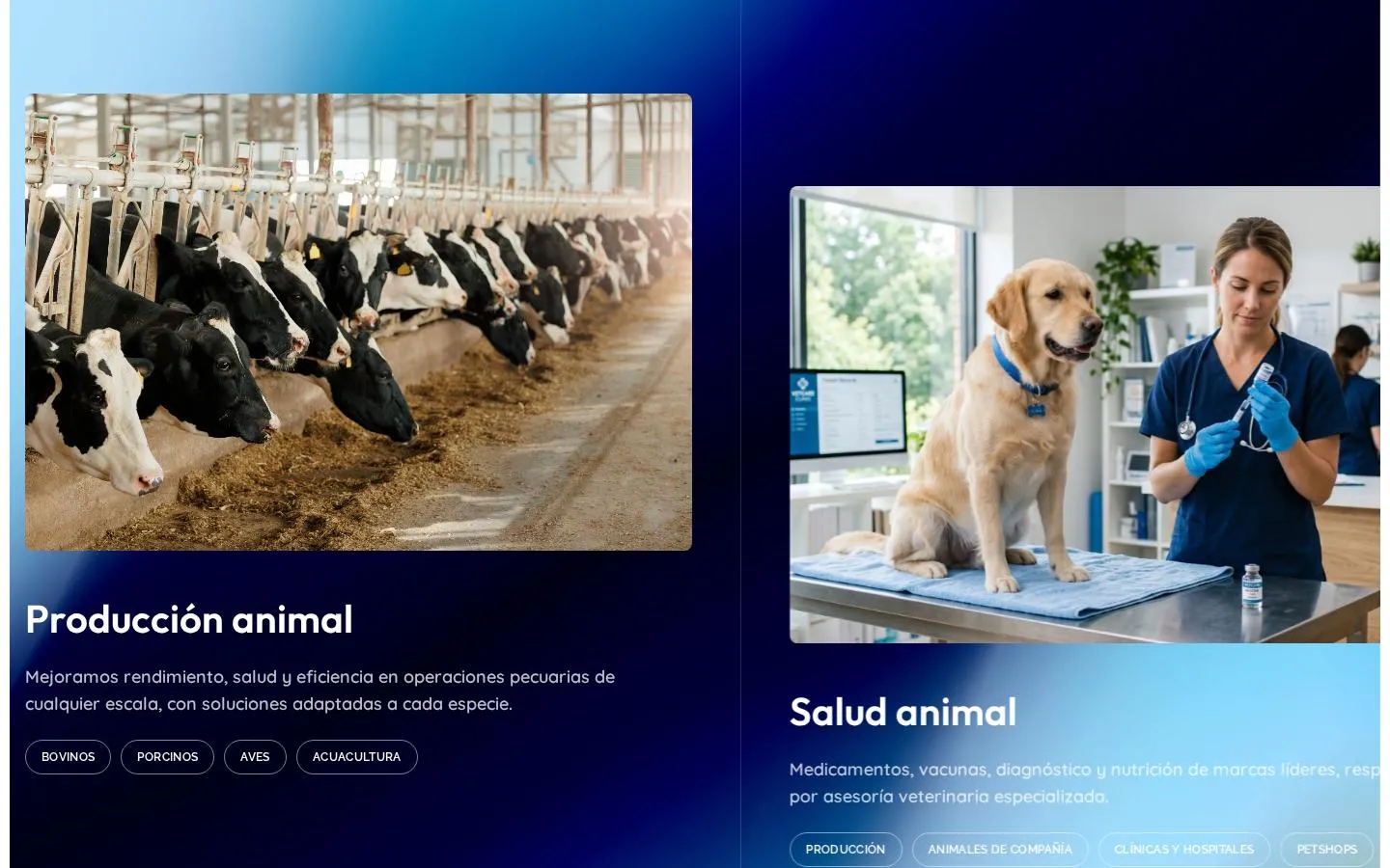 Grupac business pillars: animal production and animal health