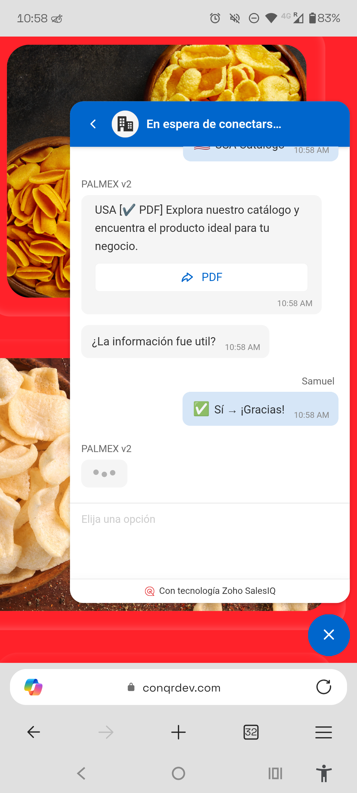 Chatbot entregando un catálogo PDF segmentado por región dentro del chat