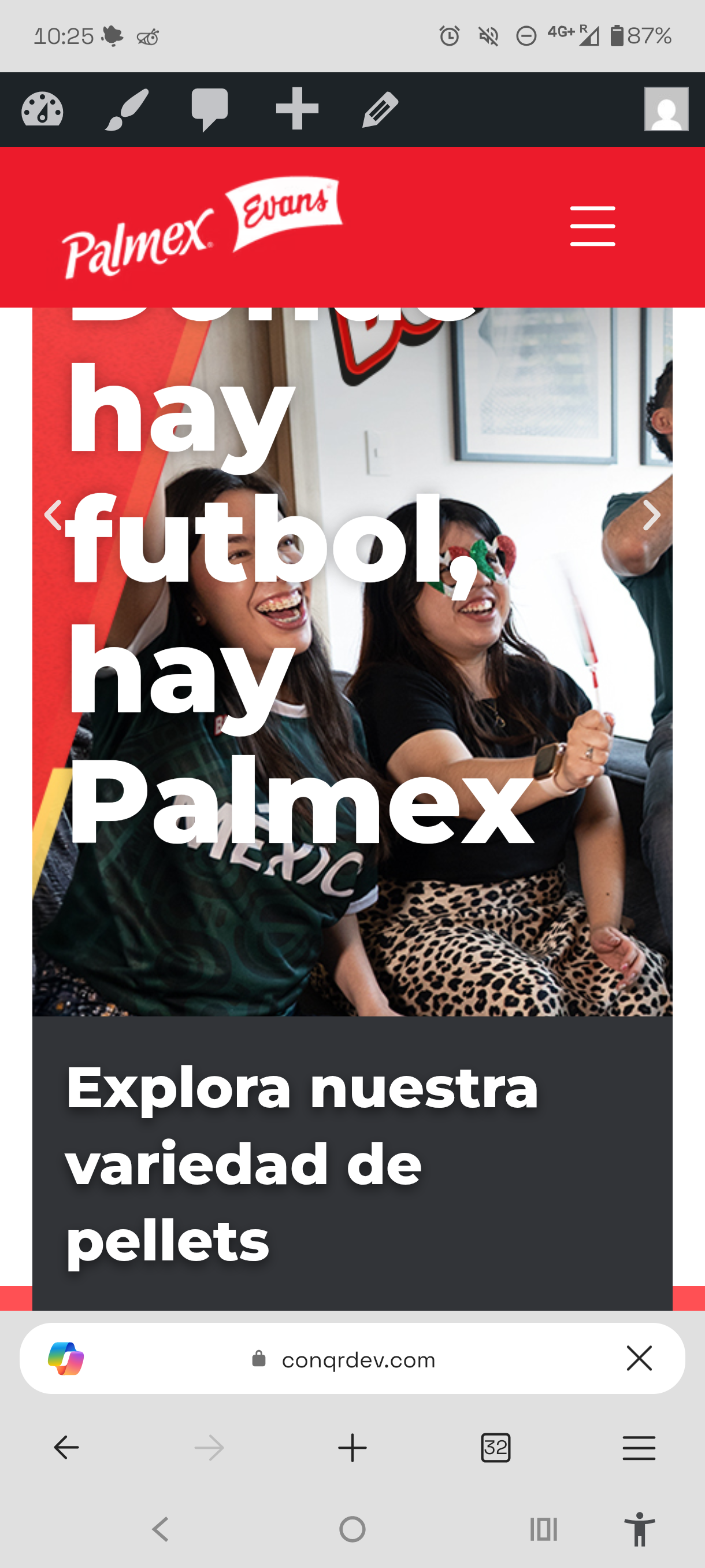 Palmex website hero banner